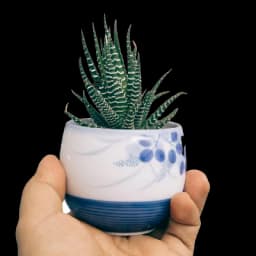 Corporate Gifts